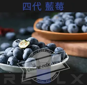 原裝正品RELX悅刻四代無限煙彈/菸彈(藍莓)3入