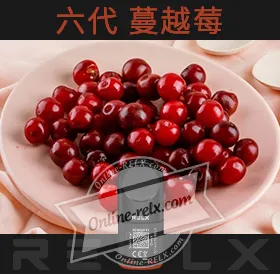 原裝正品RELX悅刻六代煙彈/菸彈（蔓越莓）3入